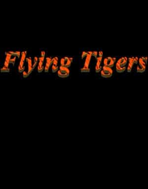 Flying Tigers DOS front cover