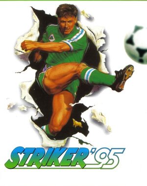 Striker 95 DOS front cover